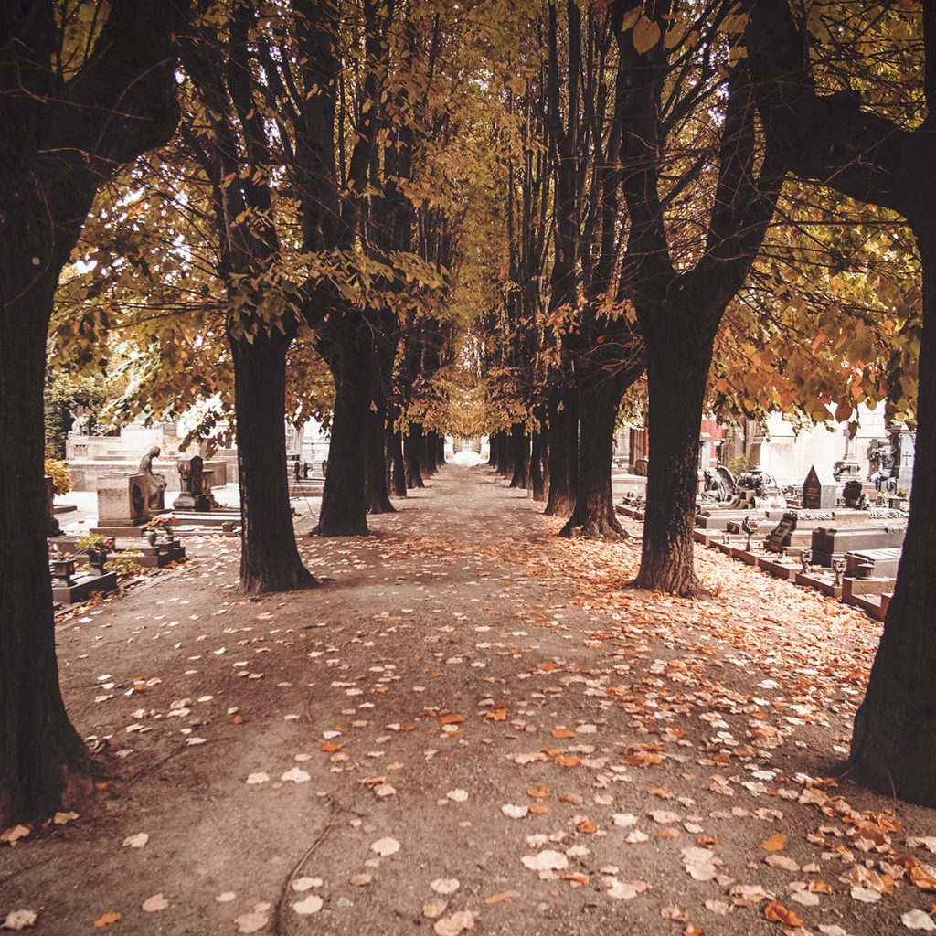 Vue d'un cimetière dans le Doubs